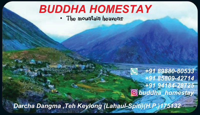 Buddha Homestay - Buddha Homestay, Darcha Dangma, Himachal Pradesh 175132, India