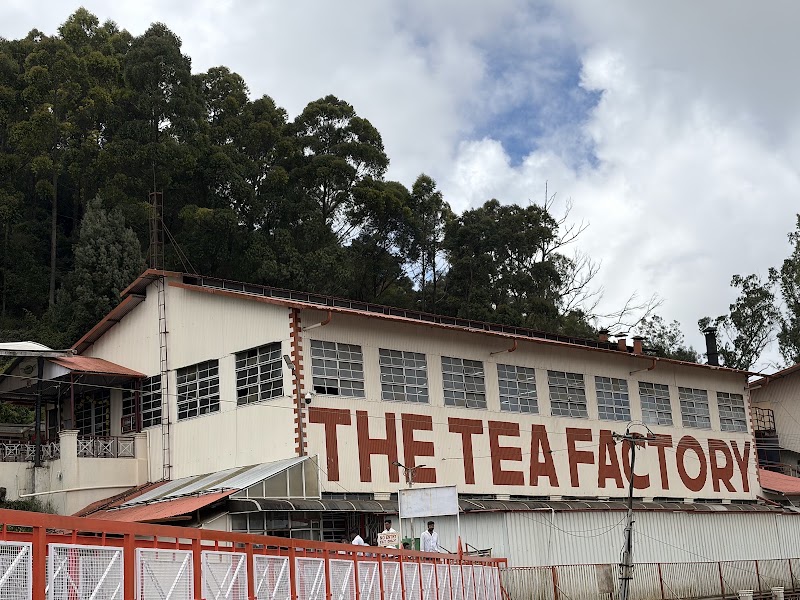 The Tea Factory & The Tea Museum