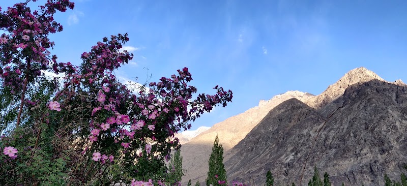 Leh - Leh Leh 194101