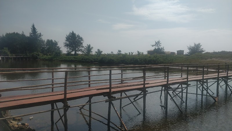 Mandrem Beach - Mandrem Beach Near Chopdem, MP95+VR7, Mandrem, Goa 403527, India