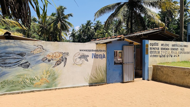 Kosgoda Sea Turtle Conservation Project - Kosgoda Sea Turtle Conservation Project Mahapalena, No. 13/A Galle Rd, Kosgoda 80570, Sri Lanka
