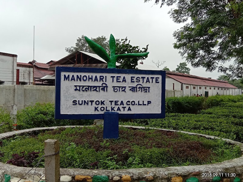 Manohari Tea Estate - Manohari Tea Estate, Nogaghuli 1/177 Orr, Assam 786012, India