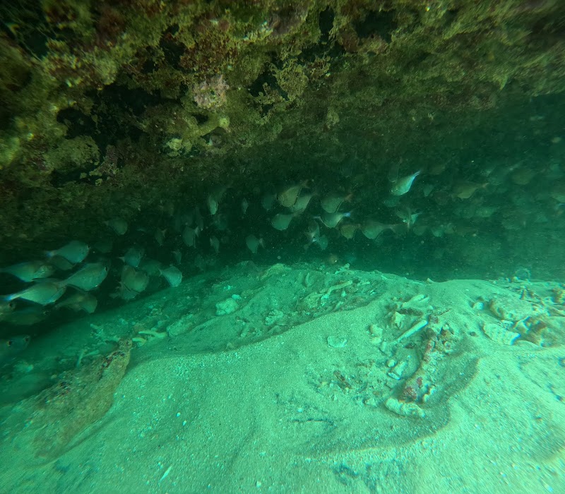 Mirissa Sea Star Fishing & Snorkeling Tours - Mirissa Sea Star Fishing & Snorkeling Tours Mirissa 81750, Sri Lanka