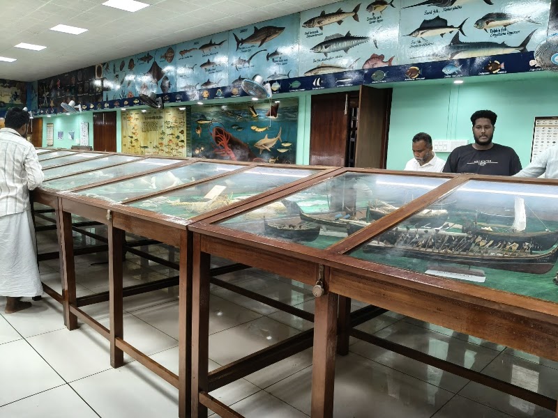 Marine Aquarium and Museum - Marine Aquarium and Museum, HJGR+H4J, Kavaratti, Lakshadweep 682555, India