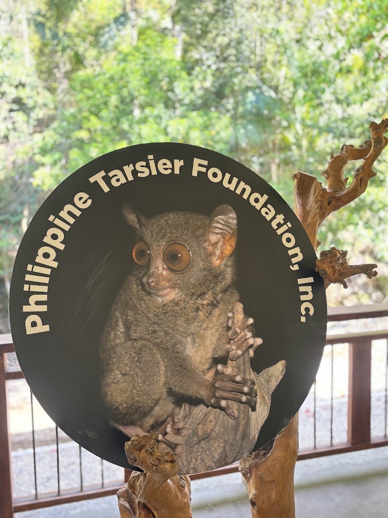 Philippine Tarsier Sanctuary - Philippine Tarsier Sanctuary, Tarsier Sunctuary Rd, Corella, Bohol, Philippines