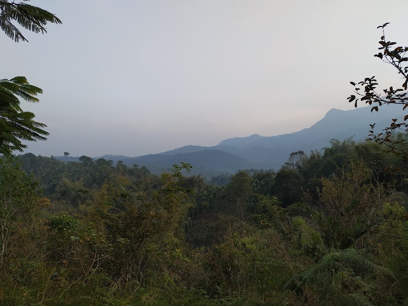 Soochipara Waterfalls - Soochipara Waterfalls Elavayal, Vellarimala, Kerala 673577, India