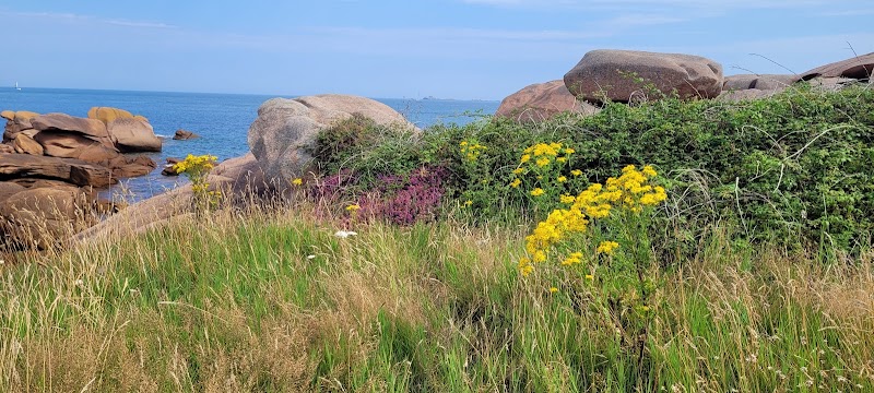 Île Renote - Île Renote, Trégastel, France