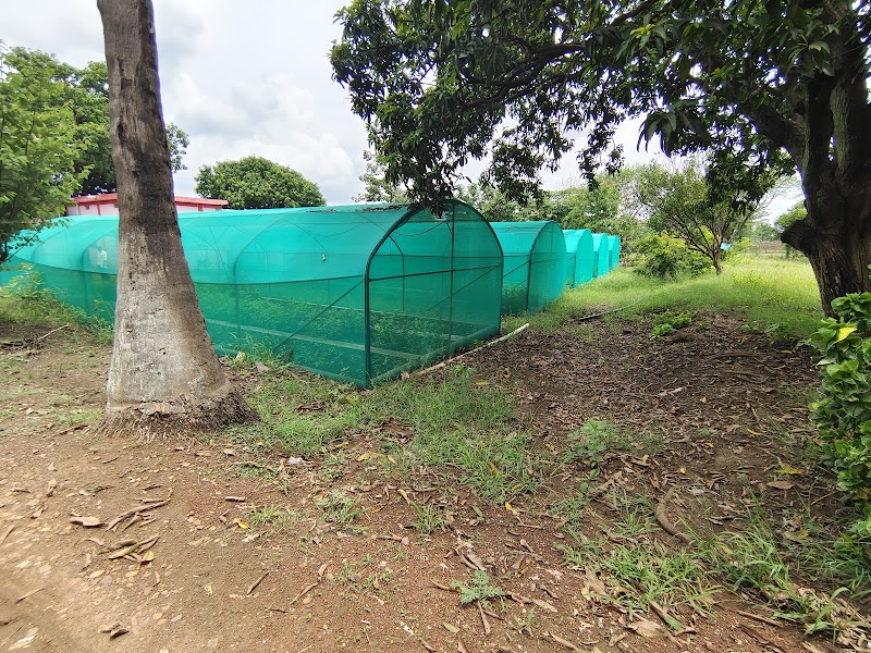 Sanjay Gandhi Nursery - Sanjay Gandhi Nursery, Andhiyarkhor, Chhattisgarh 491335, India