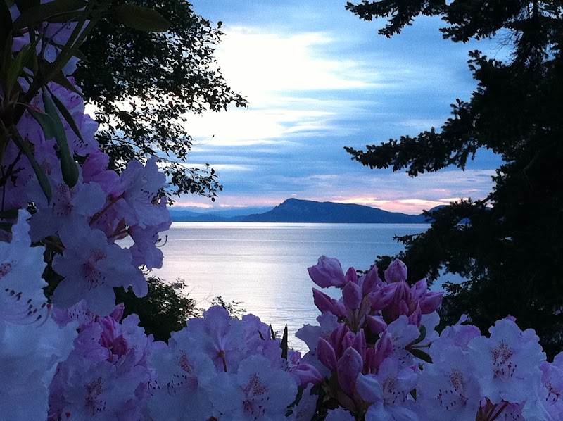 Sanctuary Seaside - Sanctuary Seaside, 271 Sunset Ave, Eastsound, WA 98245, USA