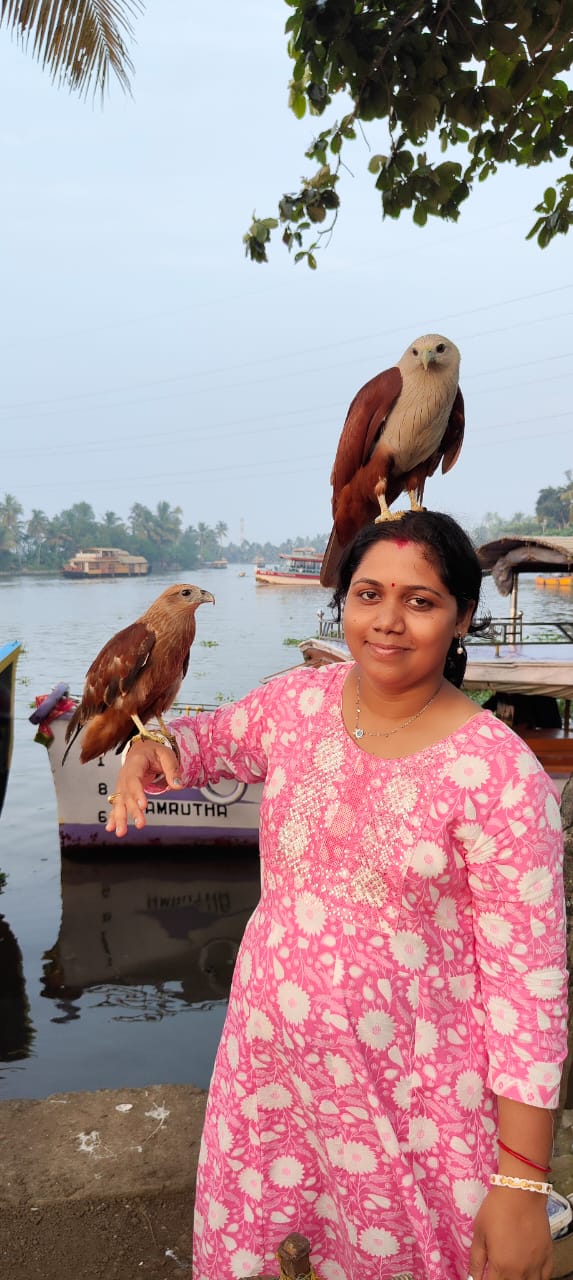 Alleppey Backwaters - Alleppey Backwaters F8XQ+6GH, Erezha, Mullakkal, Alappuzha, Keralam 688001, India