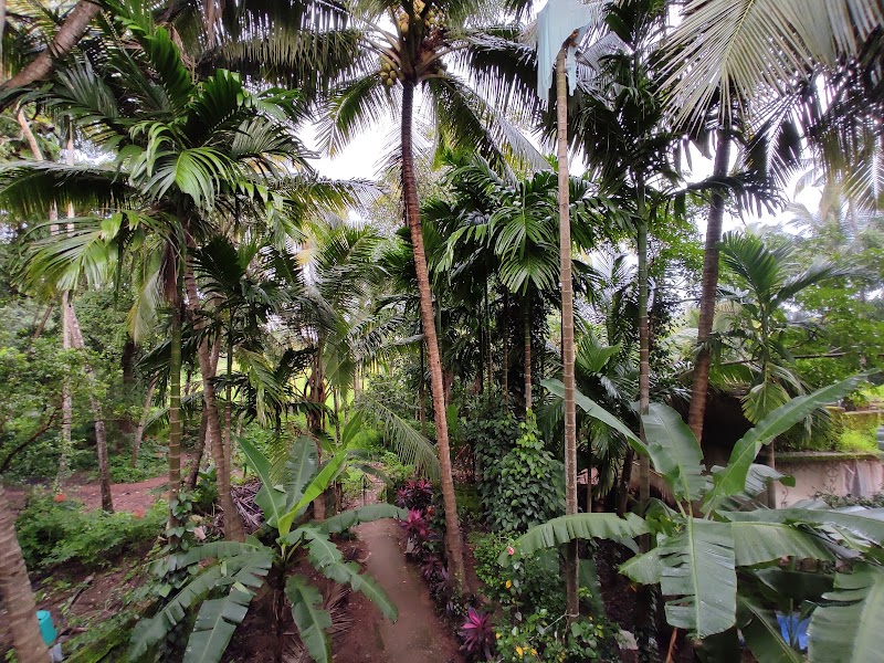 Into the Nature Homestay - Into the Nature Homestay H. No 518 Kolser, Galgibaga, KOLSAR, Canacona, Poingunin, Goa 403702, India