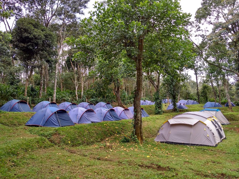 Kalypso Camp - Kalypso Camp, Shanmughavilasam Estate Rd, Suryanelli, Kerala 685618, India