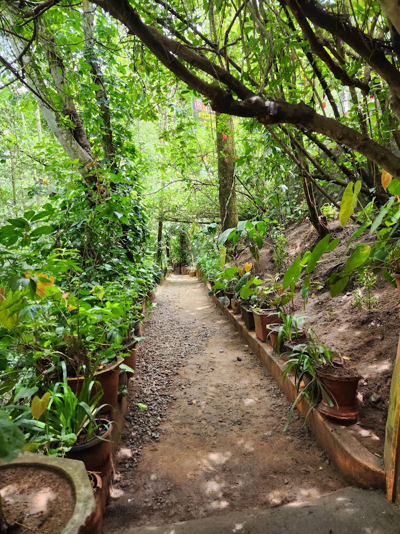 GreenValley Ayurvedic & Spice Garden - GreenValley Ayurvedic & Spice Garden Kottayam - Kumily Rd, Kumily, Periyar, Kerala 685509, India