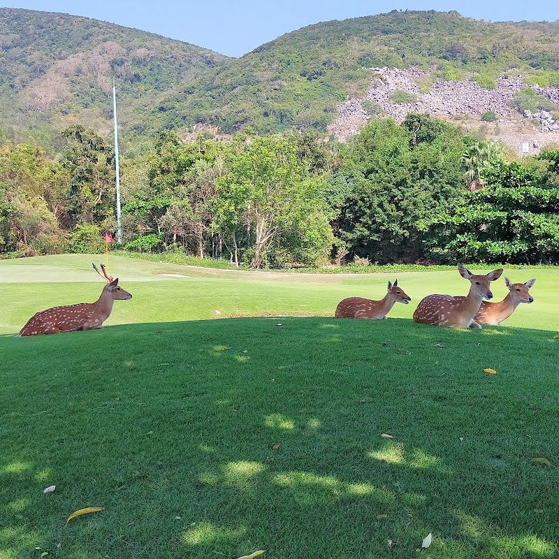 Vinpearl Golf Club Nha Trang - Vinpearl Golf Club Nha Trang, Hon Tre Island, Nha Trang, Khánh Hòa 650000, Vietnam