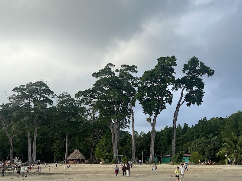 Chidiya Tapu Beach - Chidiya Tapu Beach Chidiya Tapu Beach, Sri Vijaya Puram, Andaman and Nicobar Islands 744105, India