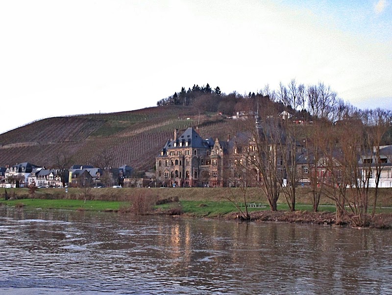 Weingut Schloss Lieser Inh. Thomas Haag - Weingut Schloss Lieser Inh. Thomas Haag, Am Markt 3, 54470 Lieser, Germany