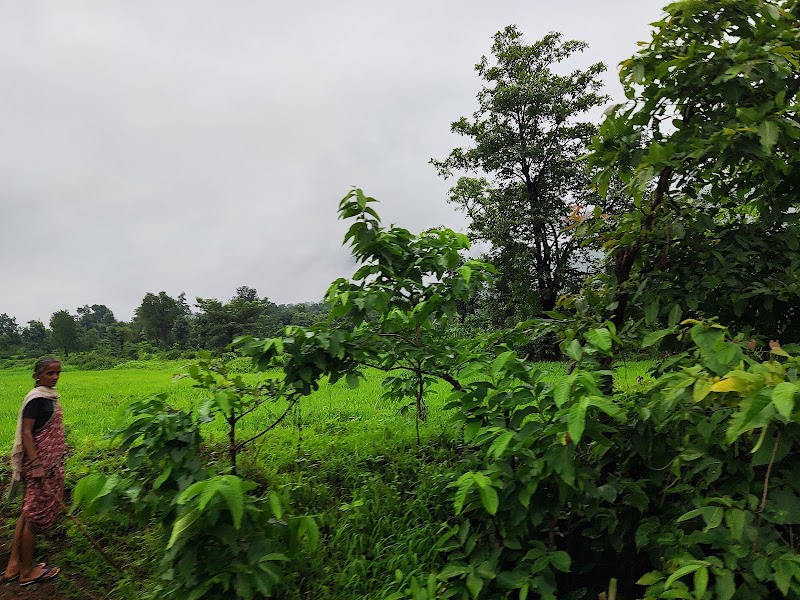 Bhimashankar Forest Reserve - Bhimashankar Forest Reserve, 3G8J+6RQ, Bhimashankar, Maharashtra 410509, India