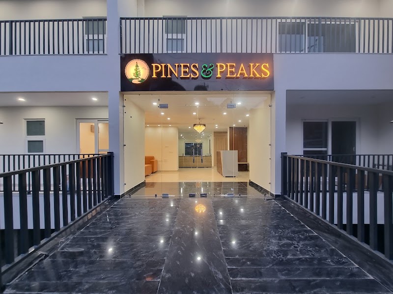 Pines & Peaks Dalhousie