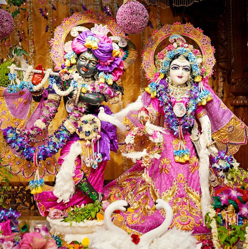 ISKCON Sri Sri Radha Damodar Mandir, Badshahpur, Gurugram