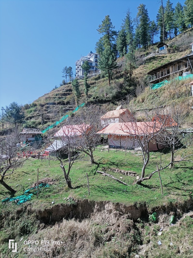 Himalayan Yew Camps And Homestay -- By Raasta stays - Himalayan Yew Camps And Homestay -- By Raasta stays Village Nagrot P.O. Narkanda, Teh, Distt, Kumarsain, Himachal Pradesh 171213, India