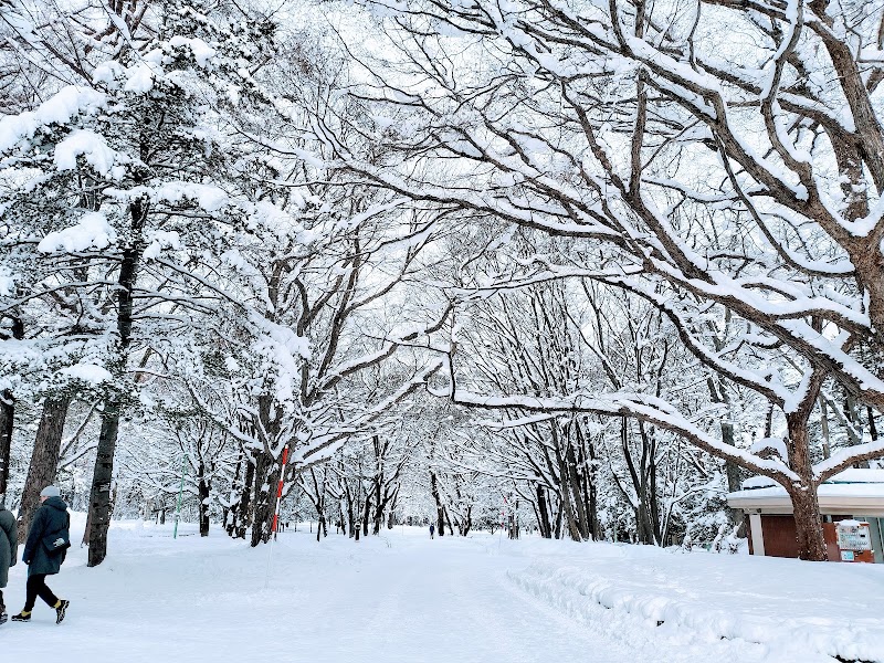 Maruyama Park - Maruyama Park, Japan, 〒064-0959 北海道札幌市中央区宮ケ丘３