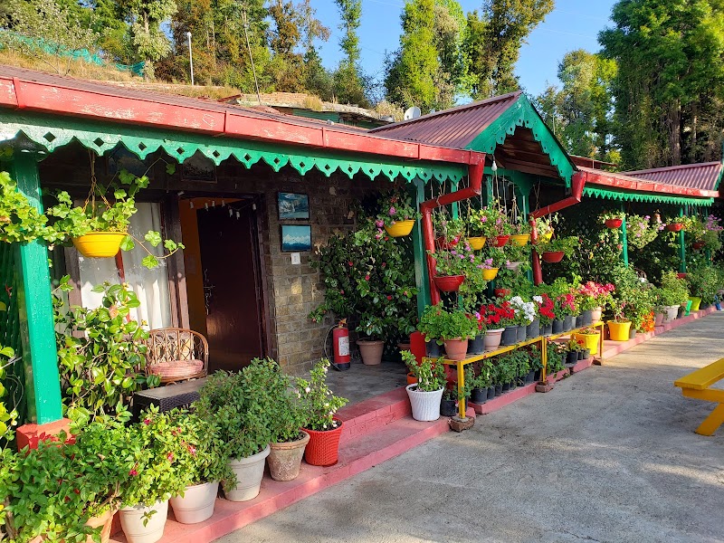 Mystic Mukteshwar lodge - Mystic Mukteshwar lodge, Sargakhet, Mukteshwar, South Gola Range, Uttarakhand 263138, India