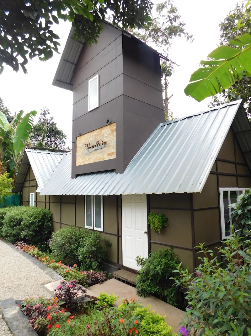 Moselberg Riverside Cottages - Moselberg Riverside Cottages Near Pallivasal, 23F4+CC6 Power House, Pottankadu, Kerala 685565, India