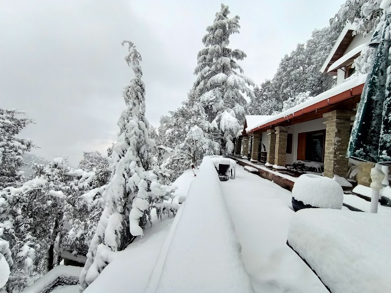 Mary Budden Estate | Luxury Resorts in Binsar, Uttarakhand - Mary Budden Estate | Luxury Resorts in Binsar, Uttarakhand, wildlife sanctuary, Binsar, Regariya, Uttarakhand 263601, India