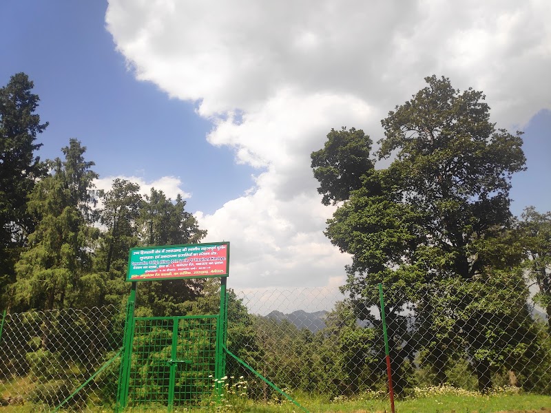 Deoban Forest Rest House - Deoban Forest Rest House, PVX8+6G7, Jadi, Uttarakhand 248123, India