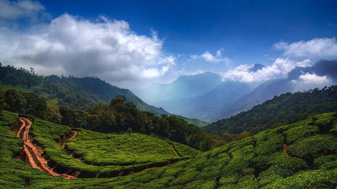 Simple Stays Munnar - The Best Home Stay in Munnar - Simple Stays Munnar - The Best Home Stay in Munnar Ambalapadi - Thokkupara, Road, Anachal, Kerala 685565, India