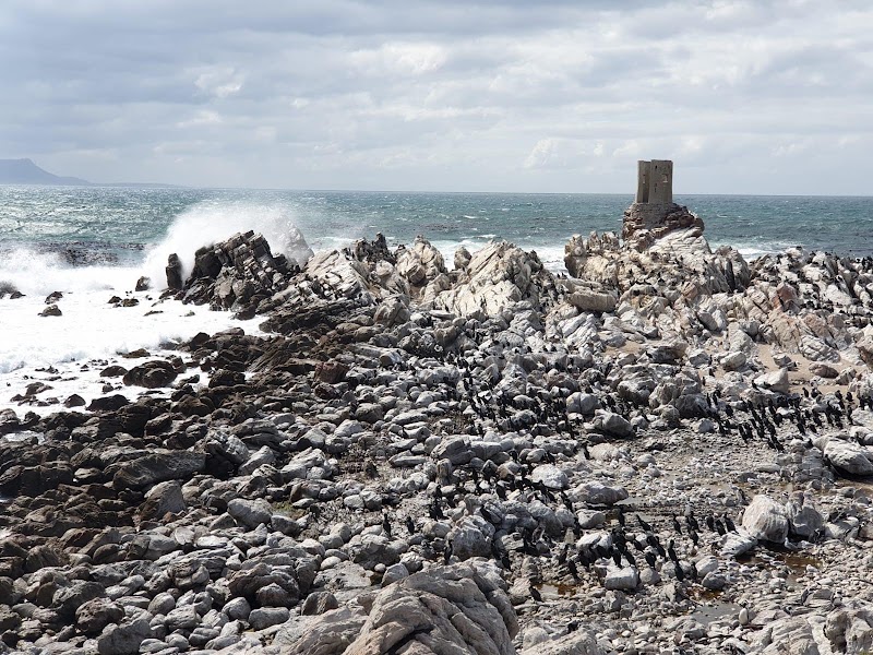 Stony Point Nature Reserve - Stony Point Nature Reserve, 2411 Wallers Rd, Betty's Bay, 7141, South Africa