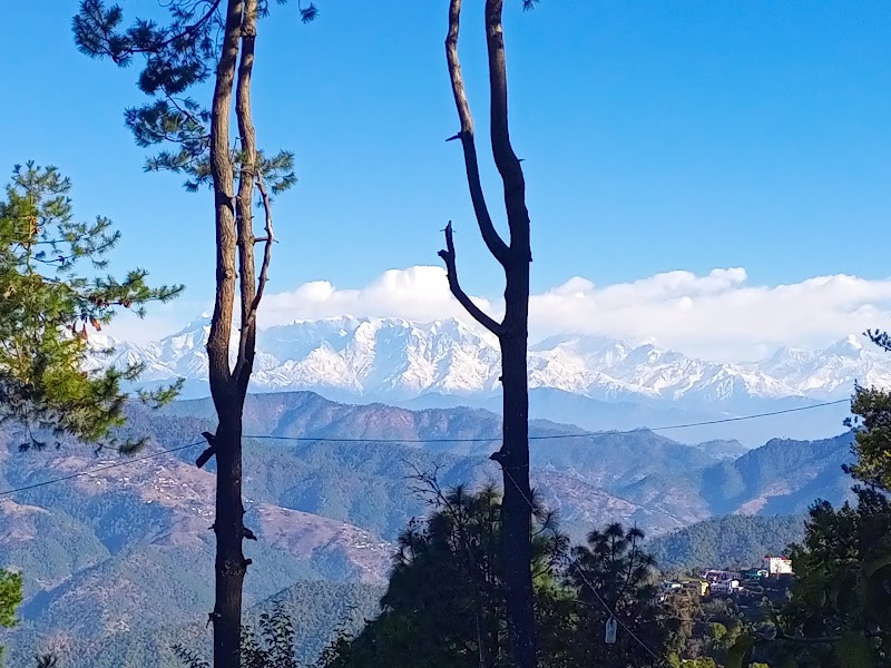 गोविन्दा होमस्टे - Govinda Homestay - गोविन्दा होमस्टे - Govinda Homestay Gadholi Rd., कसारदेवी, Matena, Uttarakhand 263601, India