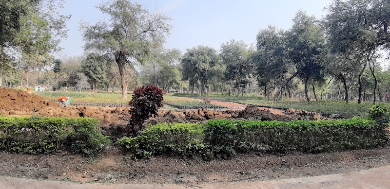 Mana Nursery - Mana Nursery, 5P7P+M5F, Mana, Atal Nagar-Nava Raipur, Chhattisgarh 492016, India