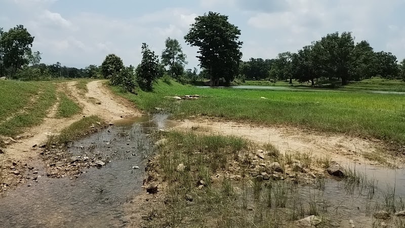 Bhanpur gp tikrapada - Bhanpur gp tikrapada, Tikrapada, Bhanpur, Odisha 766104, India