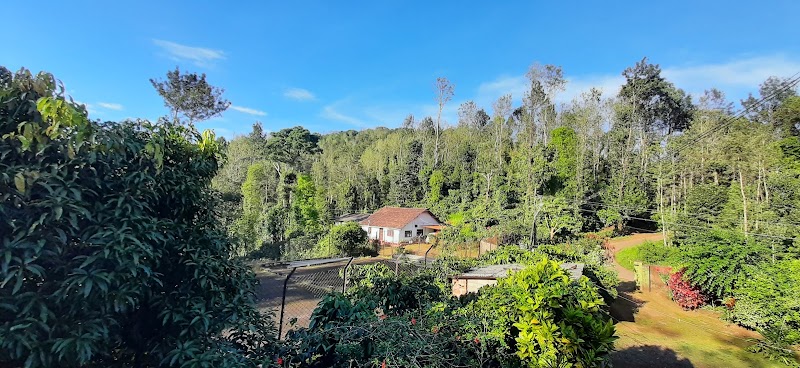 Hill Side Estate Stay - Hill Side Estate Stay, Kaggodlu Village and Post, -571201, Madikeri, Kaggodlu, Karnataka 571201, India