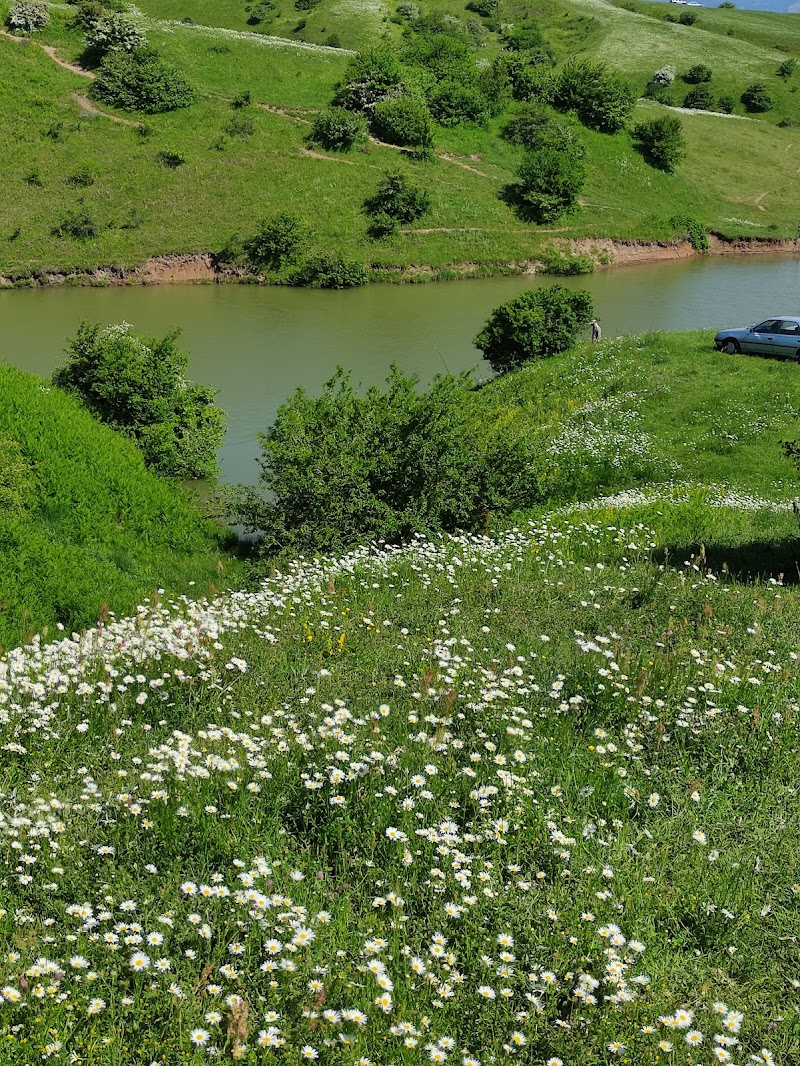 Fındıqlı - Fındıqlı, East Azerbaijan Province, Bohal, جاده روستای بهل، 976C+JPQ, Iran