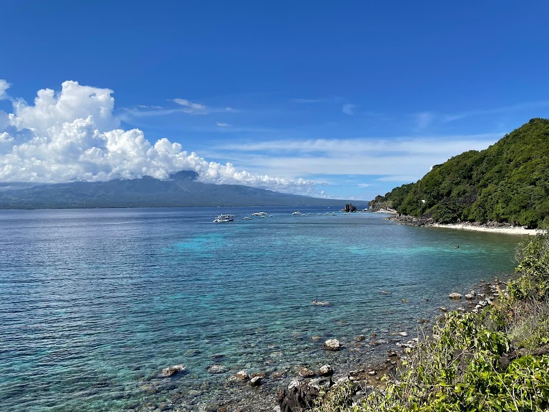 Apo Island View Deck - Apo Island View Deck, 37C9+F7W, Dauin, Negros Oriental, Philippines