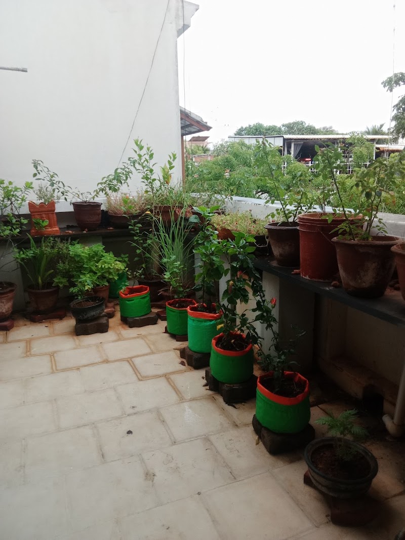 Memory - Memory 24, Rue Du Bazar Saint Laurent St, White Town, Puducherry, 605001, India