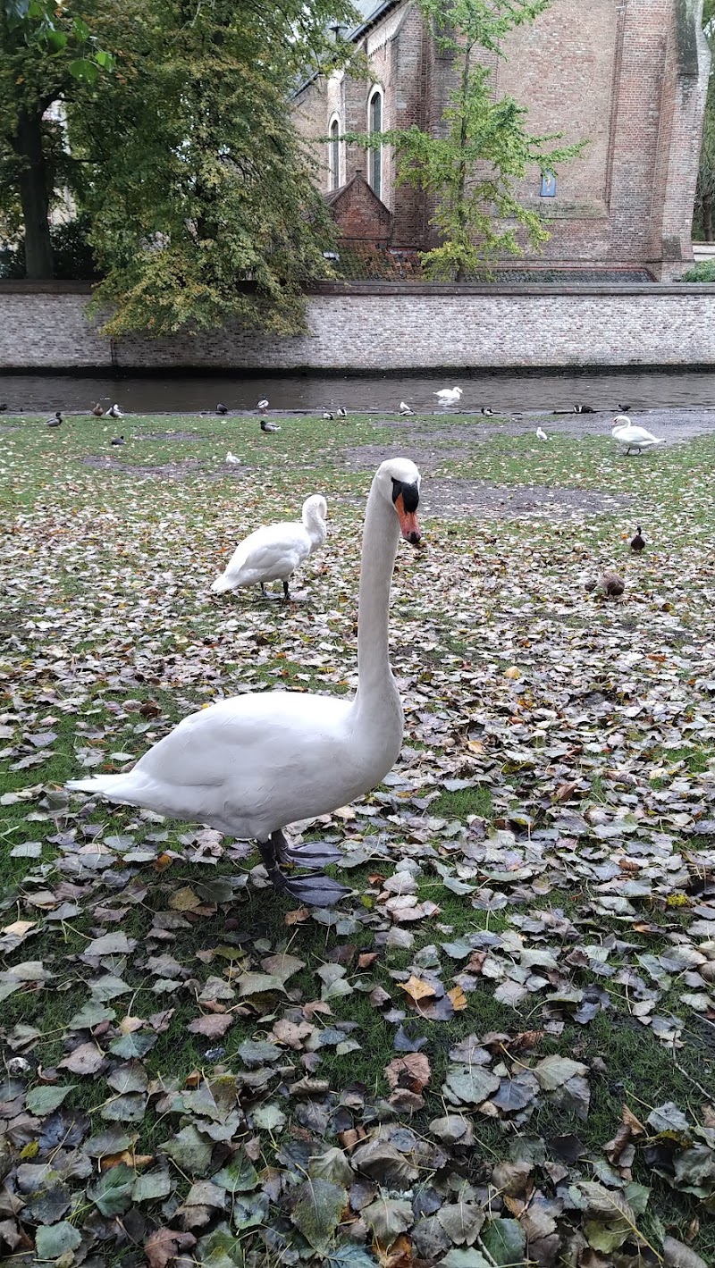 Minnewater - Minnewater, 8000 Brugge, Belgium