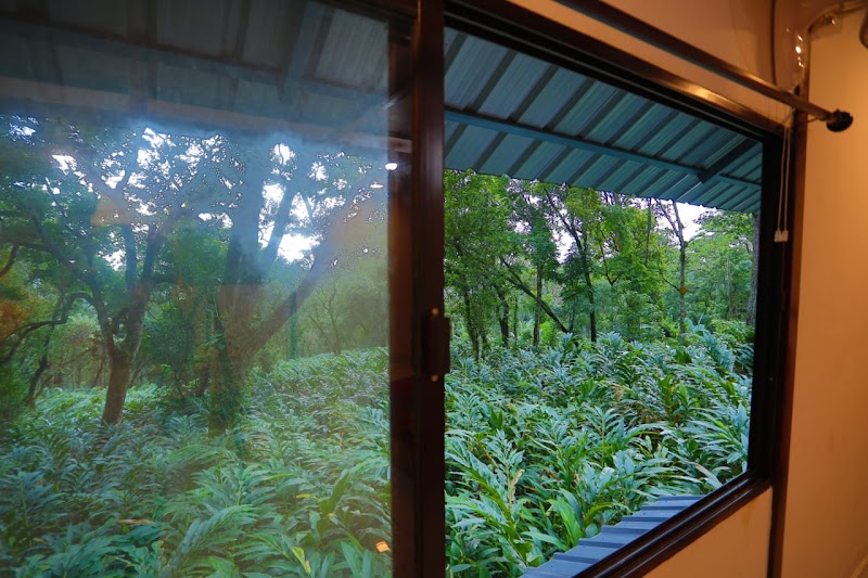 Double Trees Staycation - Double Trees Staycation chirackel h pottankadu p.o 20acre, Munnar, Kerala 685565, India