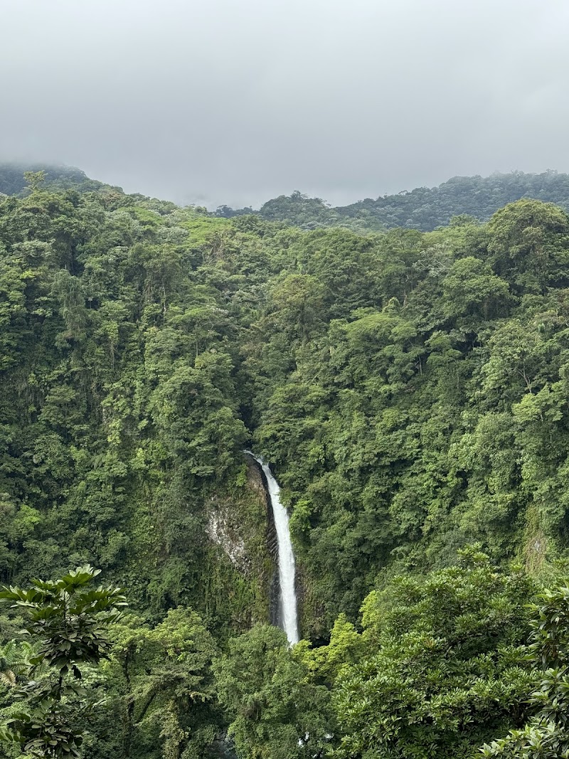 ALL TOURS COSTA RICA | NATIONAL TOUR OPERATOR - ALL TOURS COSTA RICA | NATIONAL TOUR OPERATOR, Alajuela Province, La Fortuna, 21007, Costa Rica