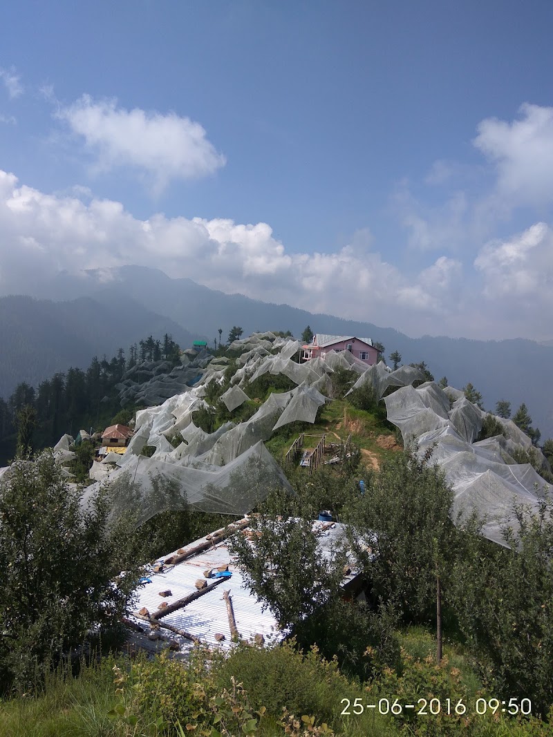 Kotgarh - Kotgarh Kotgarh, Himachal Pradesh, India