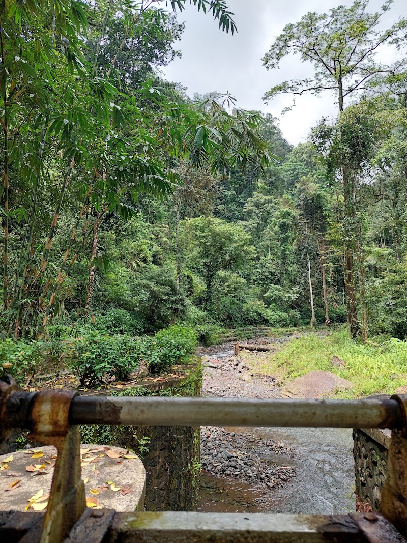 Tiu Kelep Waterfall - Tiu Kelep Waterfall, MCV5+Q7, Bayan, North Lombok Regency, West Nusa Tenggara 83354, Indonesia