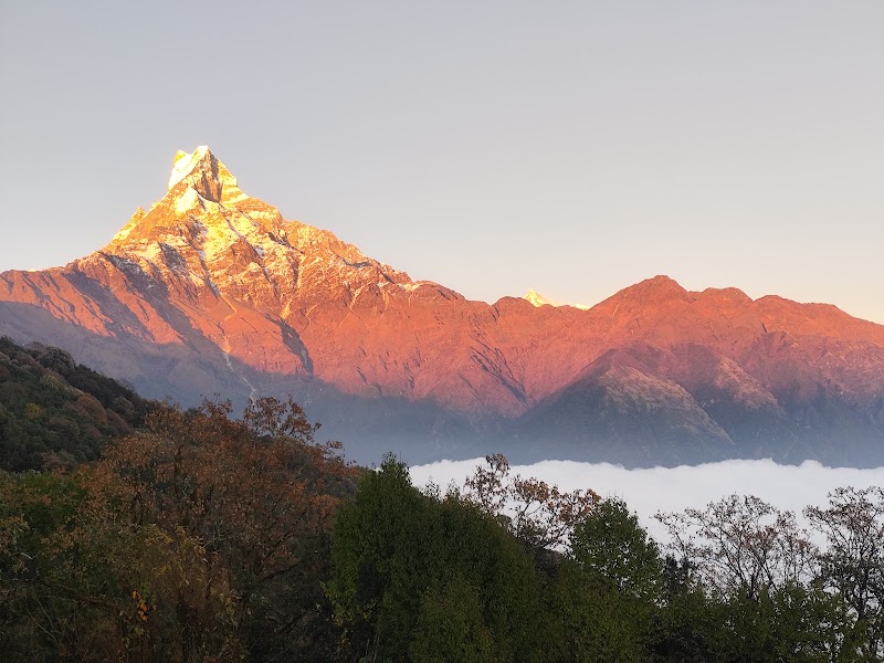 Low Camp (Mardi Himal Trek)