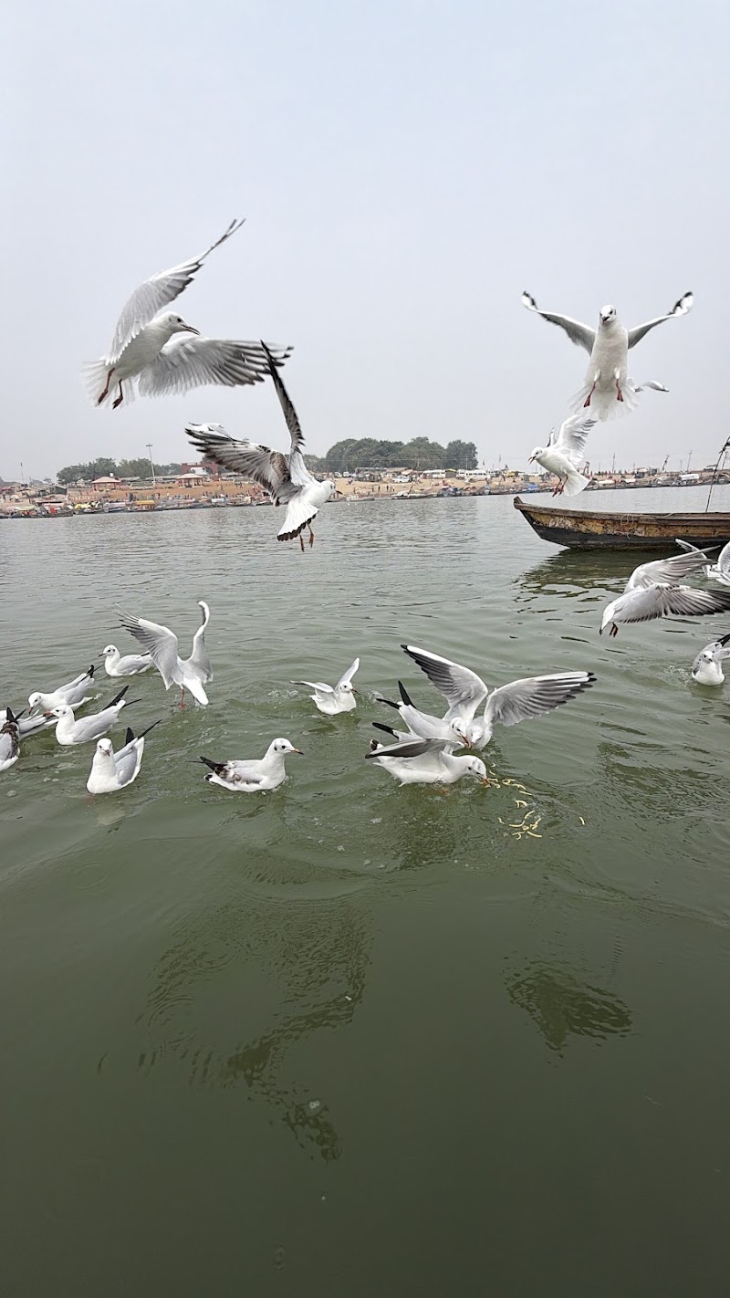 Triveni Sangam