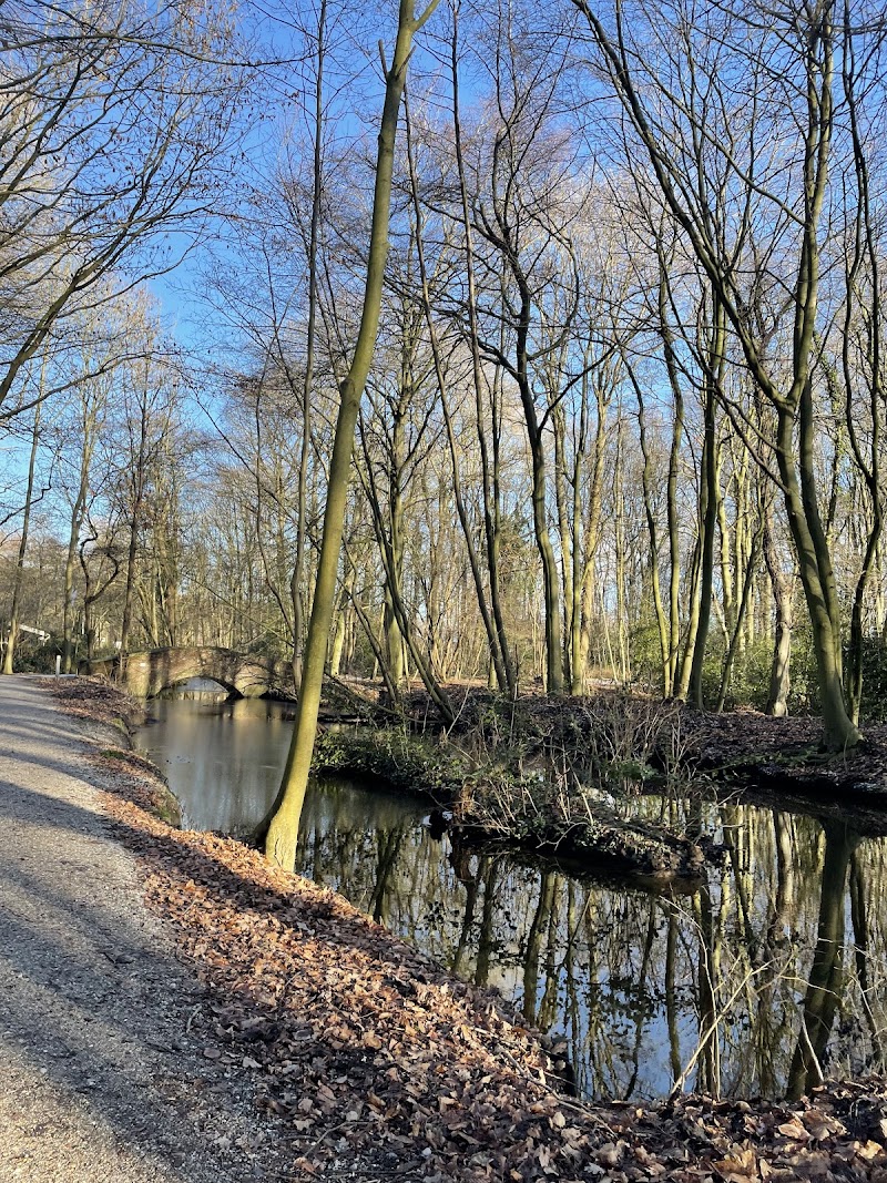 Leidse Hout - Leidse Hout, Houtlaan, 2334 AG Leiden, Netherlands