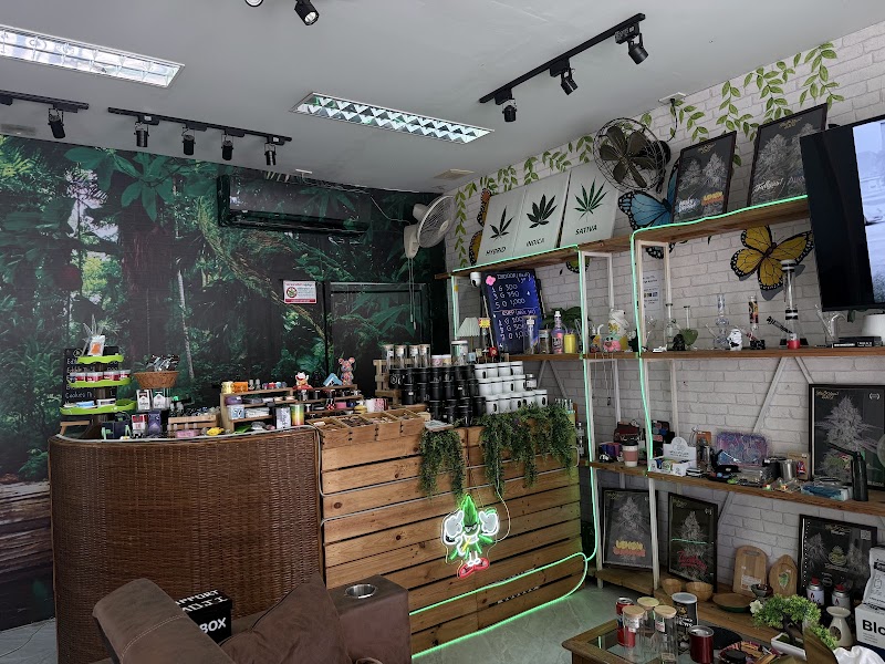 Green House Cannabis @Lamai - Green House Cannabis @Lamai 109 2, Tambon Maret, Amphoe Ko Samui, Chang Wat Surat Thani 84310, Thailand