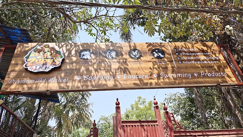Zupy's Den | Premium Pet Retreat - Zupy's Den | Premium Pet Retreat, Zupy's Den, Dolphins Farm House Doomartalab, 236/8 & 236/13, Amanaka Thana Rd, near India Oil petrol pump, Amanaka, Raipur, Chhattisgarh 492099, India