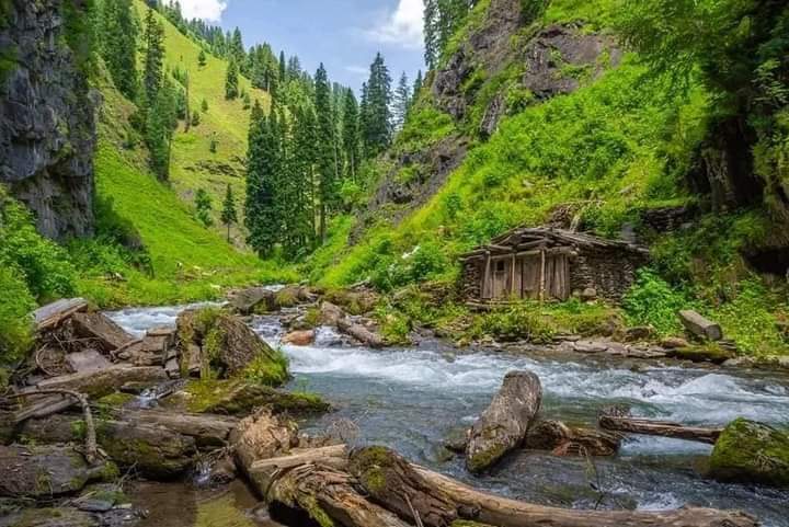 Gurez Valley - Gurez Valley, Forest Block 193503