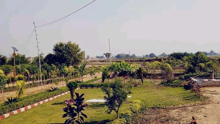 Naini - Naini, Prayagraj, Uttar Pradesh, India
